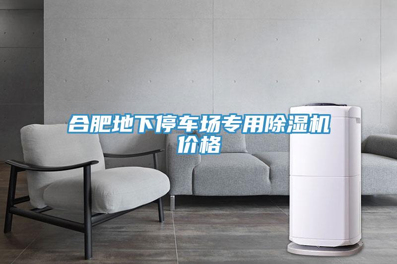 合肥地下停车场专用除湿机价格