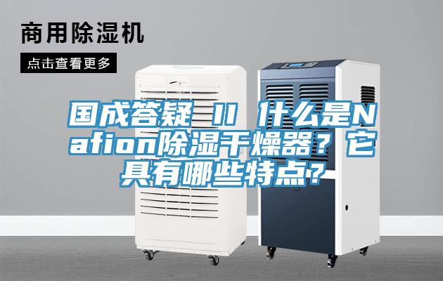 国成答疑 II 什么是Nafion除湿干燥器？它具有哪些特点？