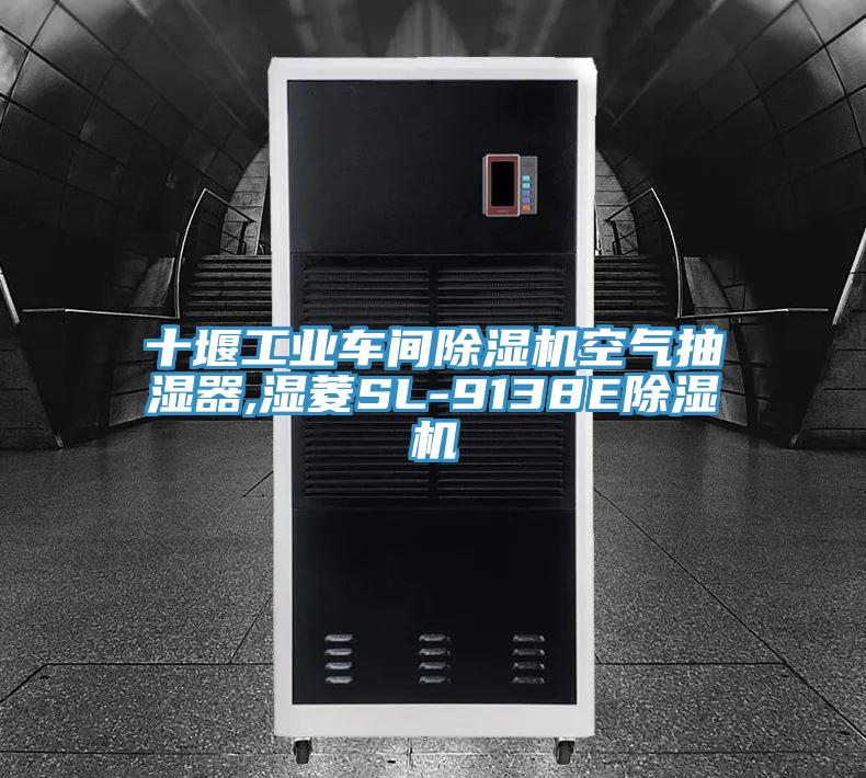 十堰工业车间除湿机空气抽湿器,湿菱SL-9138E除湿机