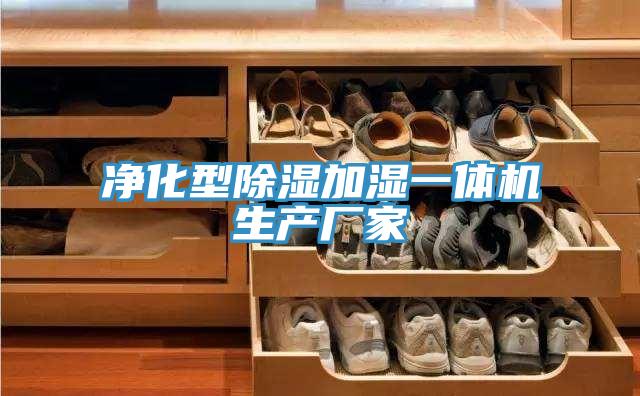 净化型除湿加湿一体机生产厂家