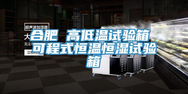 合肥 高低温试验箱 可程式恒温恒湿试验箱