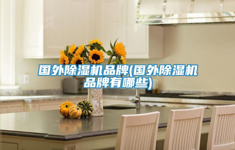 国外除湿机品牌(国外除湿机品牌有哪些)