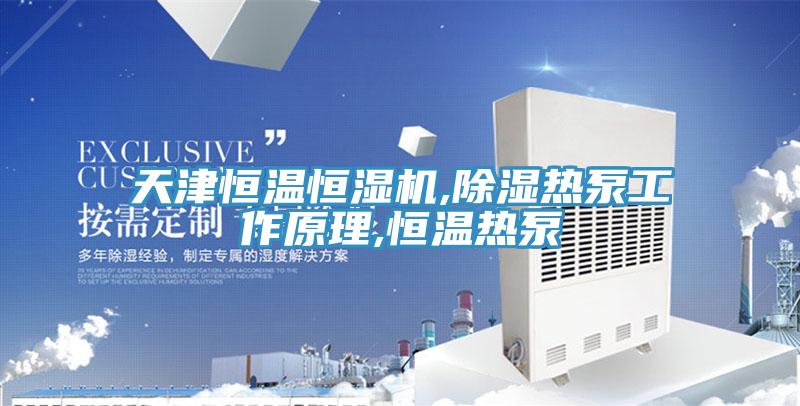 天津恒温恒湿机,除湿热泵工作原理,恒温热泵