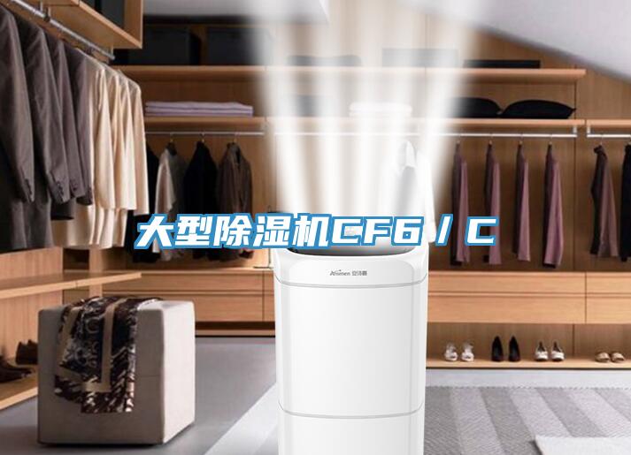 大型除湿机CF6/C