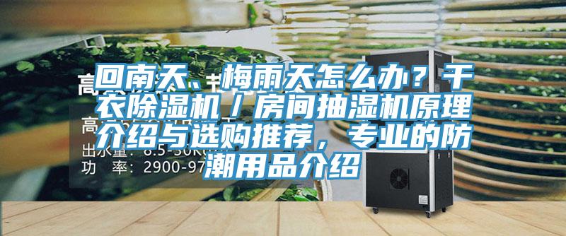 回南天、梅雨天怎么办？干衣除湿机／房间抽湿机原理介绍与选购推荐，专业的防潮用品介绍