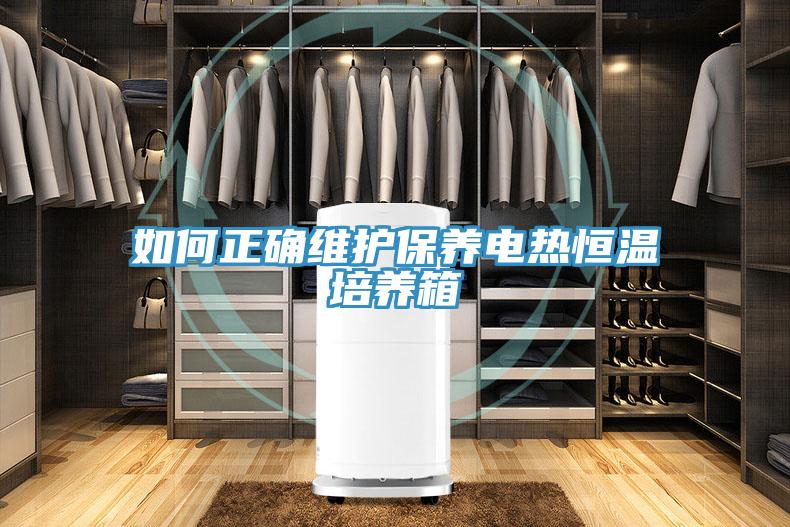如何正确维护保养电热恒温培养箱