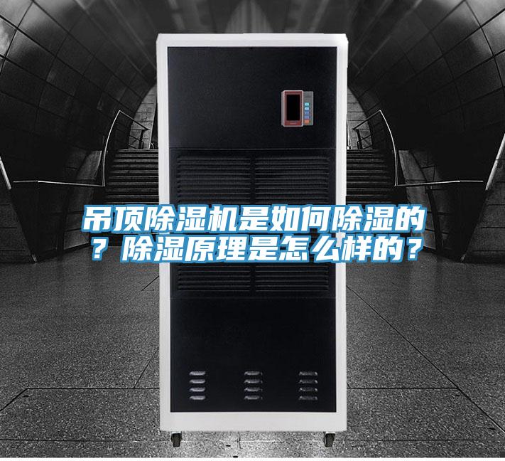 吊顶除湿机是如何除湿的?除湿原理是怎么样的?