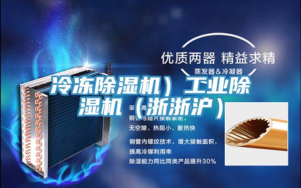 冷冻除湿机）工业除湿机（浙浙沪）