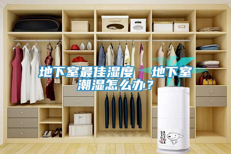 地下室最佳湿度  地下室潮湿怎么办？