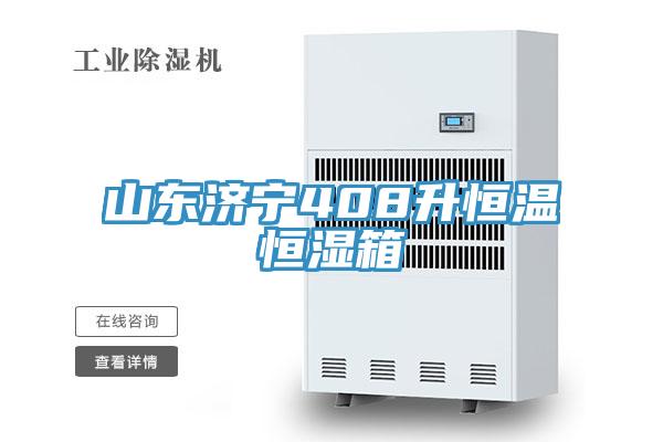 山东济宁408升恒温恒湿箱