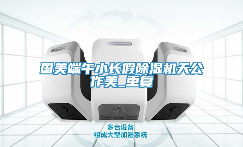 国美端午小长假除湿机天公作美_重复