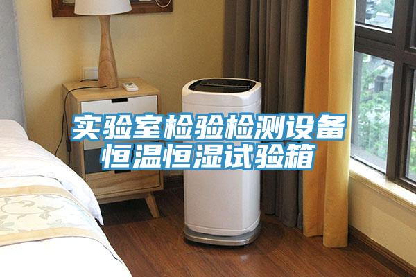 实验室检验检测设备恒温恒湿试验箱