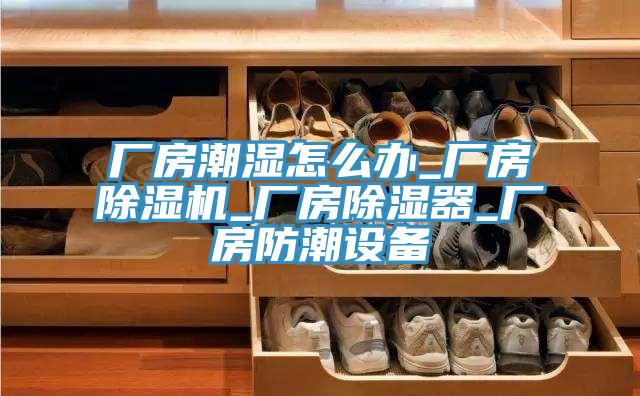 厂房潮湿怎么办_厂房除湿机_厂房除湿器_厂房防潮设备