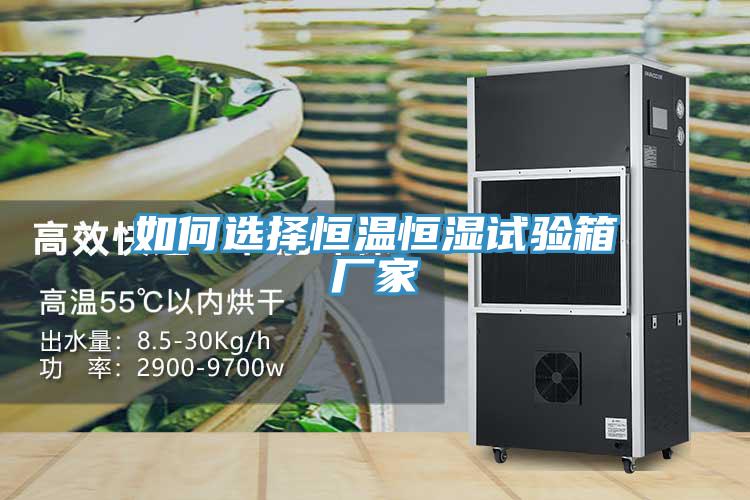 如何选择恒温恒湿试验箱厂家