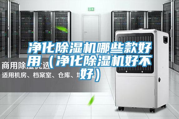 净化除湿机哪些款好用（净化除湿机好不好）