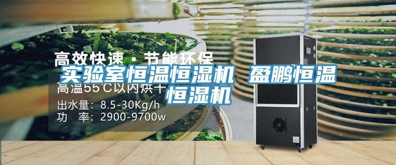 实验室恒温恒湿机 盈鹏恒温恒湿机