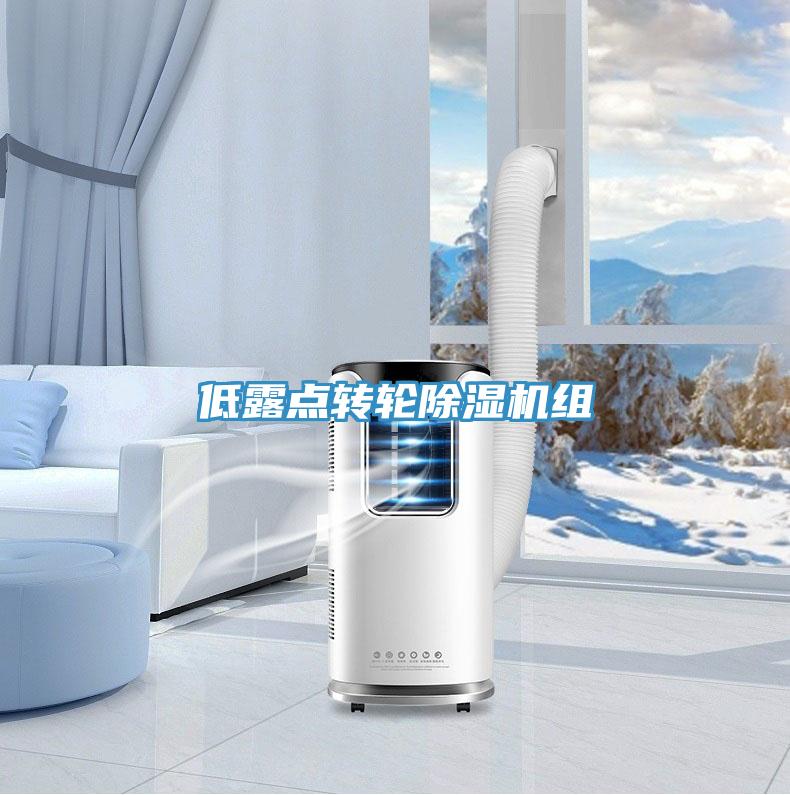 低露点转轮除湿机组