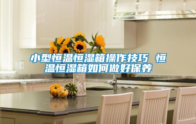 小型恒温恒湿箱操作技巧 恒温恒湿箱如何做好保养