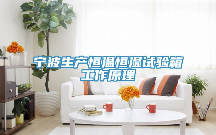 宁波生产恒温恒湿试验箱工作原理