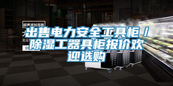 出售电力安全工具柜/除湿工器具柜报价欢迎选购