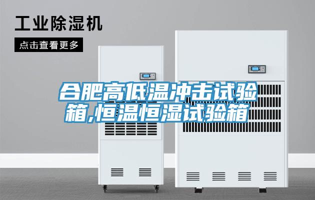 合肥高低温冲击试验箱,恒温恒湿试验箱