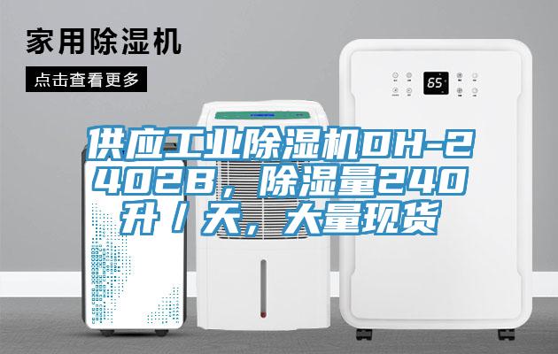 供应工业除湿机DH-2402B，除湿量240升／天，大量现货