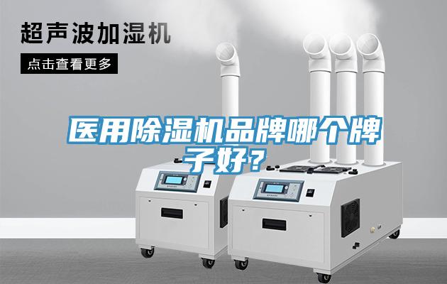 医用除湿机品牌哪个牌子好？