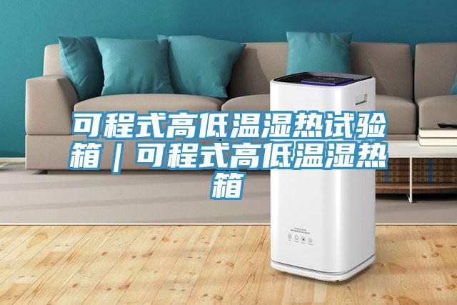 可程式高低温湿热试验箱|可程式高低温湿热箱