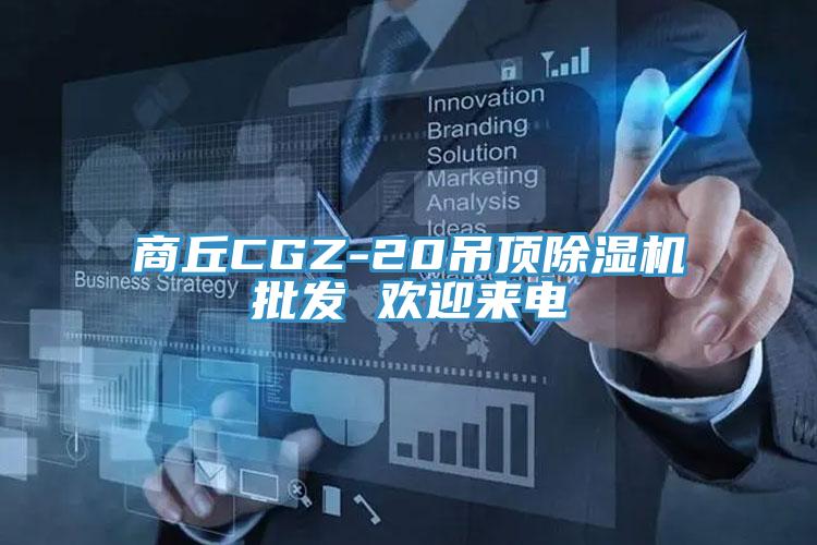 商丘CGZ-20吊顶除湿机批发 欢迎来电