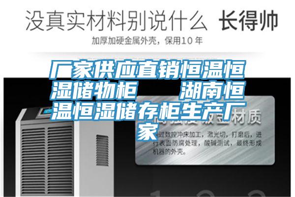 厂家供应直销恒温恒湿储物柜   湖南恒温恒湿储存柜生产厂家
