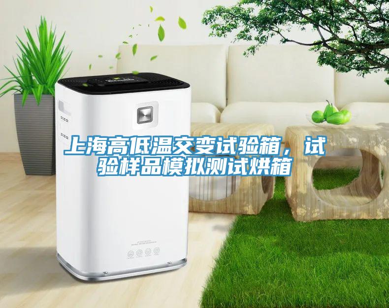 上海高低温交变试验箱，试验样品模拟测试烘箱