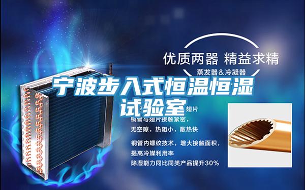 宁波步入式恒温恒湿试验室