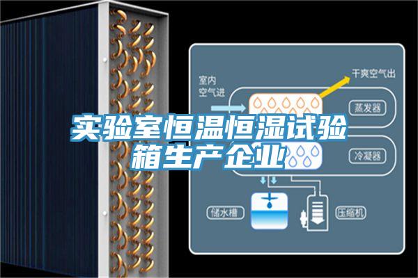 实验室恒温恒湿试验箱生产企业