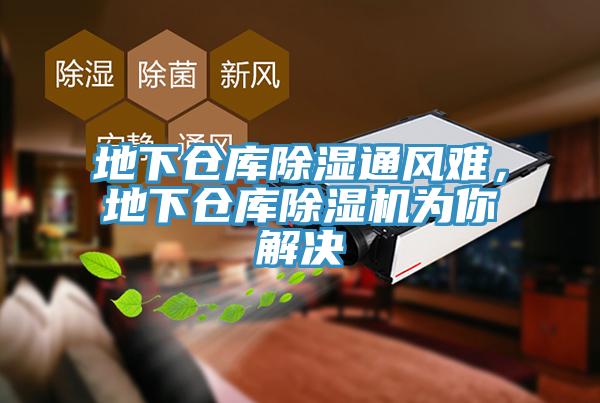 地下仓库除湿通风难，地下仓库除湿机为你解决