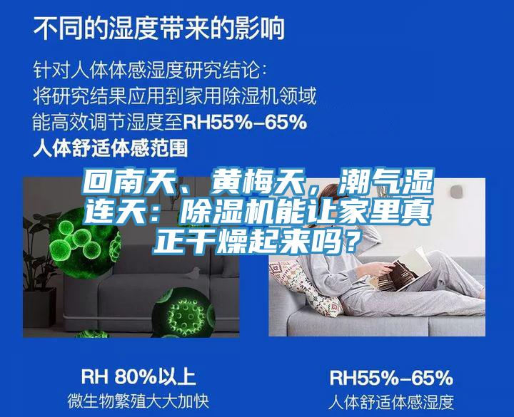 回南天、黄梅天，潮气湿连天：除湿机能让家里真正干燥起来吗？