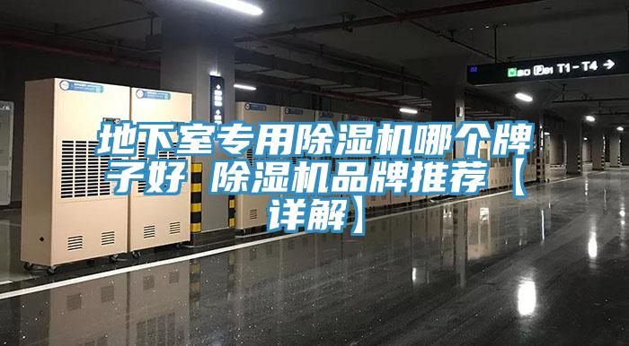 地下室专用除湿机哪个牌子好 除湿机品牌推荐【详解】