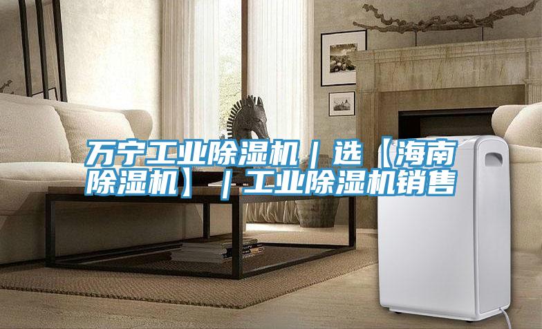 万宁工业除湿机|选【海南除湿机】|工业除湿机销售