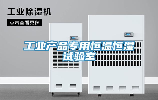 工业产品专用恒温恒湿试验室