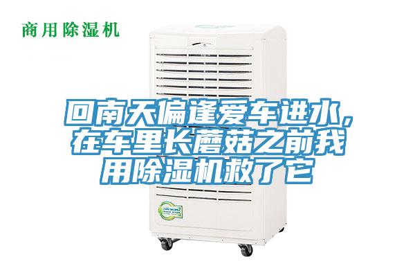 回南天偏逢爱车进水，在车里长蘑菇之前我用除湿机救了它