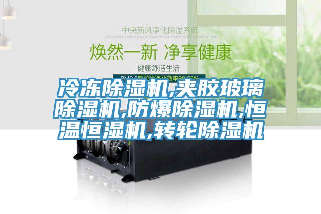 冷冻除湿机,夹胶玻璃除湿机,防爆除湿机,恒温恒湿机,转轮除湿机