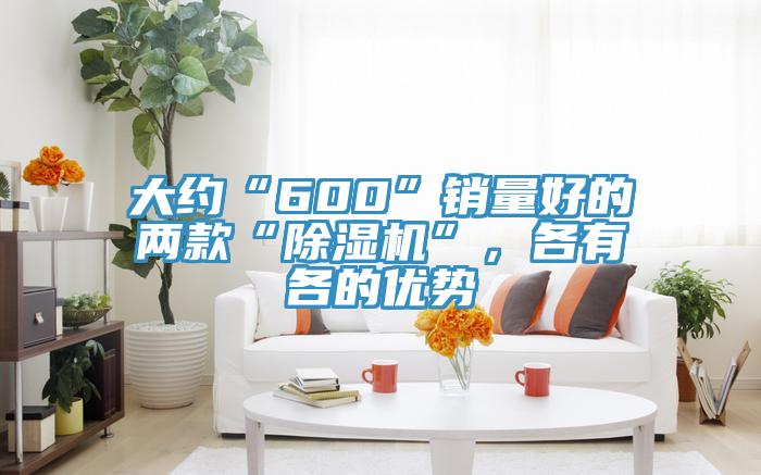 大约“600”销量好的两款“除湿机”，各有各的优势