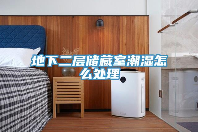 地下二层储藏室潮湿怎么处理