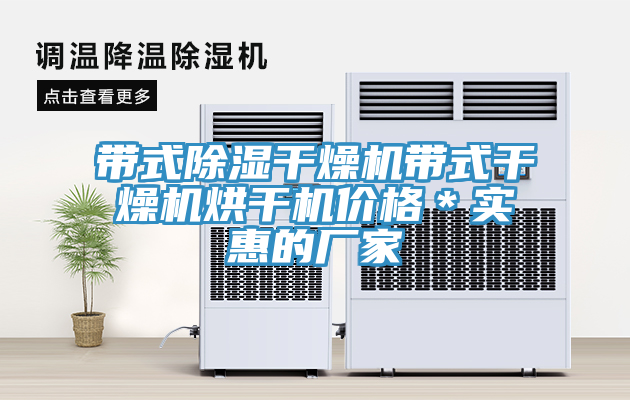 带式除湿干燥机带式干燥机烘干机价格＊实惠的厂家