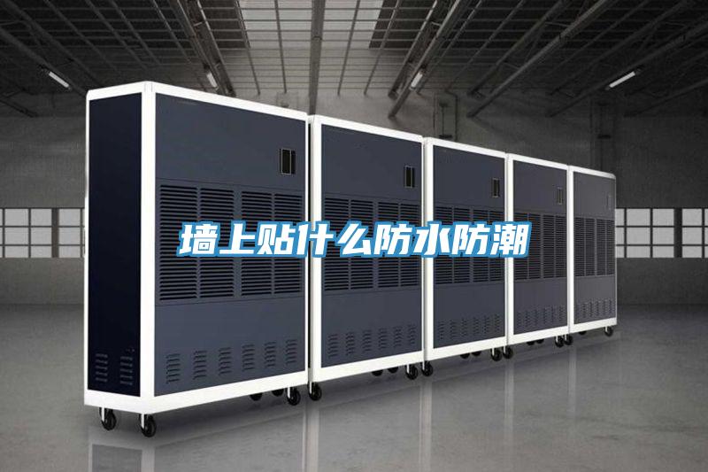 墙上贴什么防水防潮