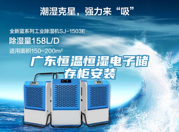 广东恒温恒湿电子储存柜安装