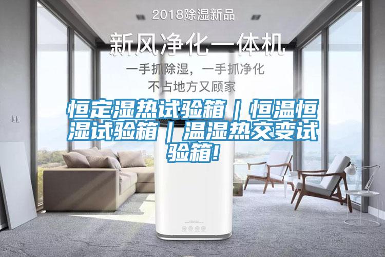 恒定湿热试验箱｜恒温恒湿试验箱｜温湿热交变试验箱!
