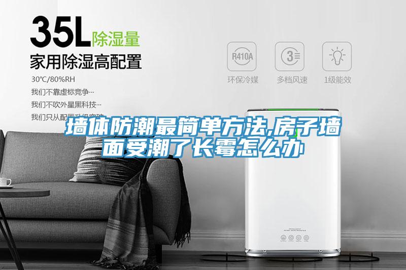 墙体防潮最简单方法,房子墙面受潮了长霉怎么办