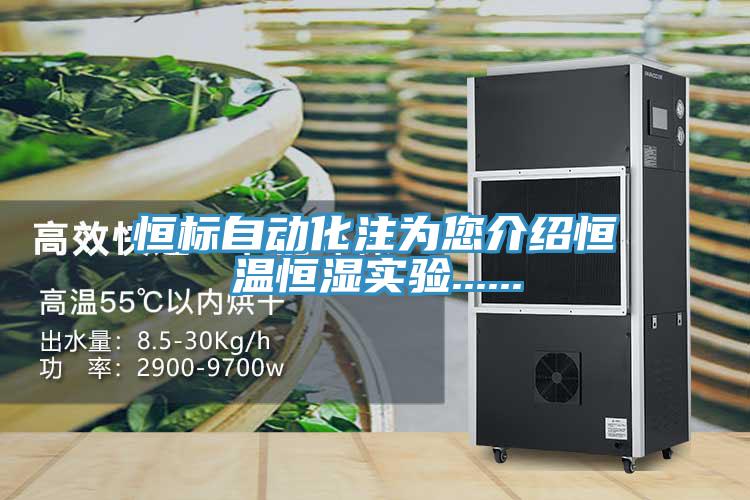 恒标自动化注为您介绍恒温恒湿实验......