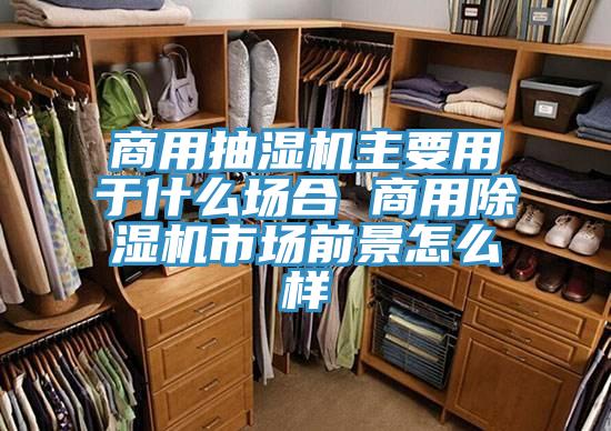 商用抽湿机主要用于什么场合 商用除湿机市场前景怎么样