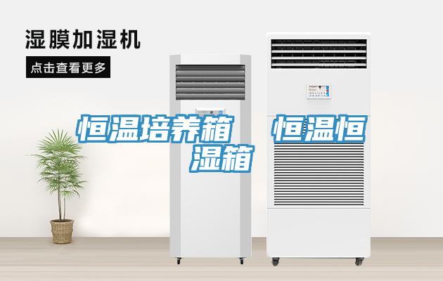恒温培养箱  恒温恒湿箱